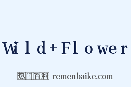 Wild+Flower是什么意思的图片